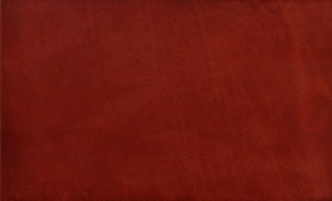 Leather Background Texture Red